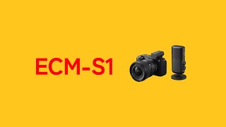 【最強YouTubeマイク】カメラホットシューから直接給電できるコンデンサーマイク #ecms1