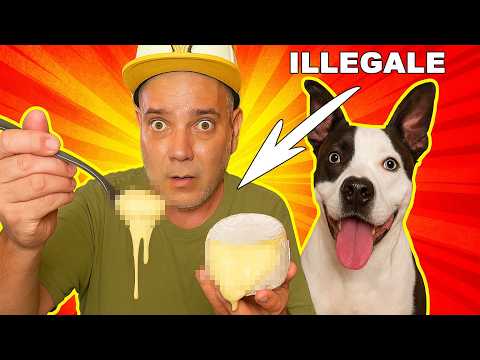 CASU MARZU !! MANGIO il Formaggio con i VERMI!