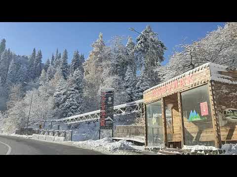 23 октября 2021 г.