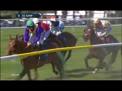 2015 Future Champion Novices' Chase