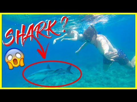 CARTAGENA Colombia: BEST Beach & Snorkel Spot | Rosario Islands