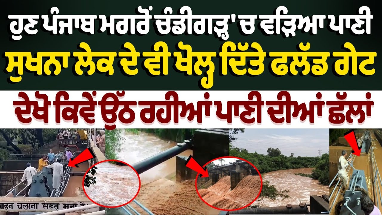 Sukhna Lake Flood Gate Open: Water Almost Touches Max Capacity of the Dam, Two Gates Opened Sukhna Lake Flood Gate Open: Water Almost Touches Max Capacity of the Dam, Two Gates Opened