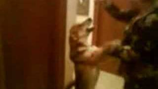 Tsifteteli...Tsifteteli...