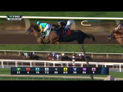 RACE REPLAY: 2016 Malibu Stakes Featuring Mind Your Biscuits
