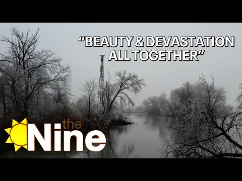 Drone footage of Belle Isle after ice storm | The Nine | FOX 2 Detroit