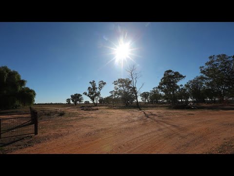 Qld drought will cost local farmers $100 million this financial year