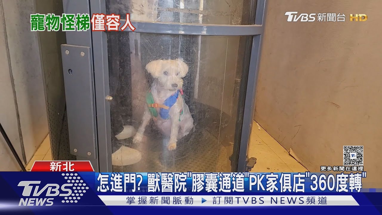 獸醫院膠囊電梯!民眾驚呼「像蝙蝠俠專用」 狗狗能適應