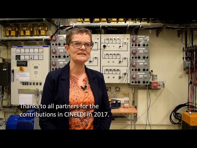 Director of FME CINELDI, Gerd Kjølle, summing up 2017