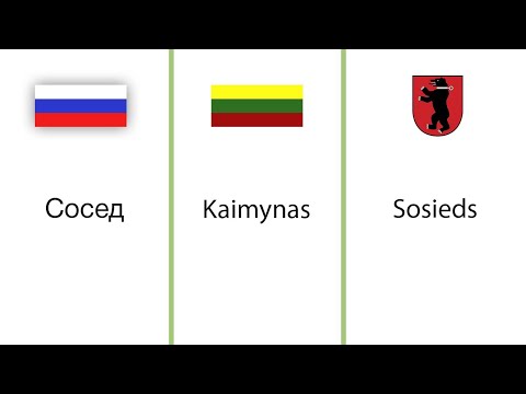visos investicijos perkeliamos kriptografij
