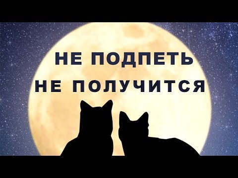 Cvetocek7 -  И через года (White Kola remix)