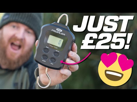 The BEST Budget Digital Scales? 🤔 | NGT Profiler Digital Scales