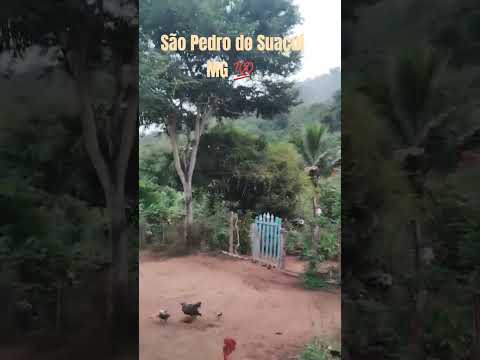 @ São Pedro do Suaçuí MG 💯.