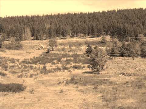 NEW RISEN THRONE : withered