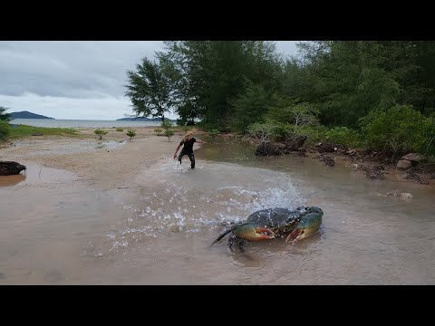 King Mud Crab Catch and Cook on the Beach - Wilderness Food Cooking Sea Crab