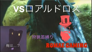 【モンスターハンターライズ】ごめんなドスフロギィ…狩猟笛縛り#9