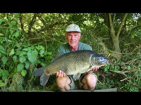 Dave Lane Carp Blog - Heat and injury wont stop Laney!!