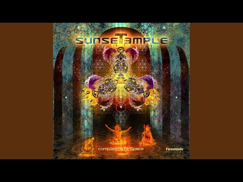 The Vegetal Division (Original Mix)