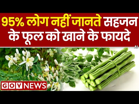 Beyond the flowers of silence | moringa flower benefits for male and female | Moringa flower bene...