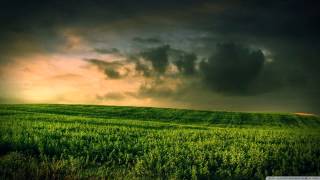 Concord Dawn - Kepler