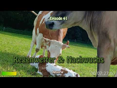 Regenwetter & Nachwuchs