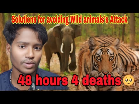 🐘 ATTACK - SOLUTIONS 🥺 SK PLATOON 🍁 SELVAKUMAR 😎 #elephant #keralanews