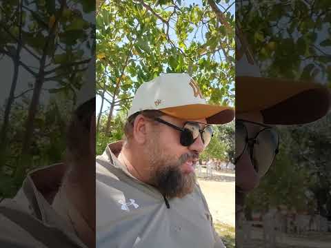 #domigo #lagos Fazenda buritizal Bonfim Roraima