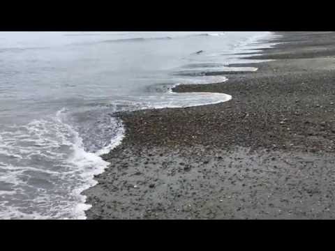 Beach cusps on Agate beach, Haida Gwaii