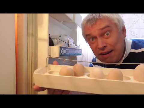 Геннадий Горин, новая версия видео про холодильник 10 часов