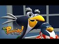 Wise Guys 3 2 1 Penguins Full Episodes Kids Shows