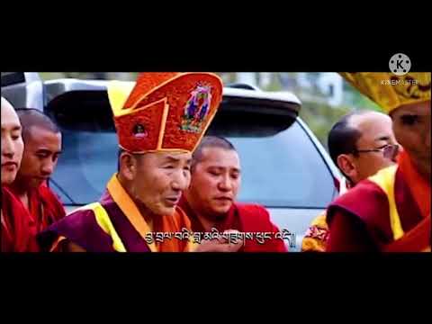pema lama official