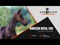 Windsor Royal VRB