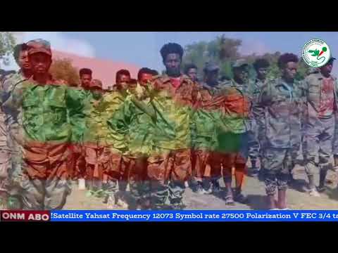 Qophii Eebba ONM-ABO Sadaasa 13-2025 itti dhiyaadhaa!