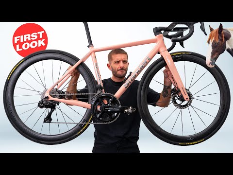 Is Standert Worth The Hype? - Kreissäge RS