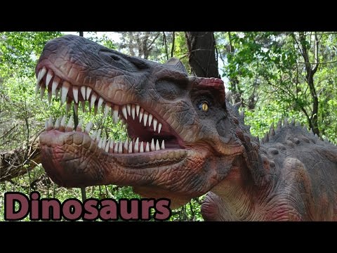 Attenborough And The Giant Dinosaur (0) Trailer