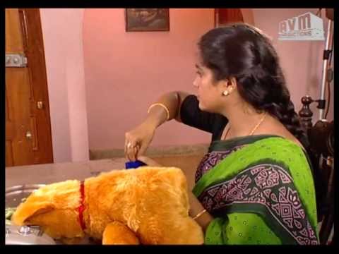 Episode 626: Sorgam Tamil TV Serial - AVM Productions