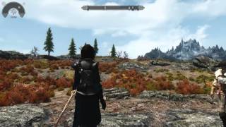 Skyrim KS Hairdos - HDT Physics Example