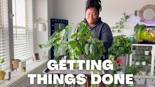RELAXING PLANT CHORES  | Repotting, Watering & Styling