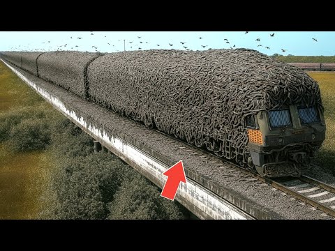 Incredible Moments Caught on Camera | Best of 2025 #107