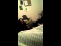 Adrians A Tickle Me Elmo