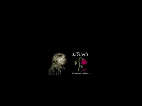 Alvarez IMC ft El R.S - Liberosis 👤