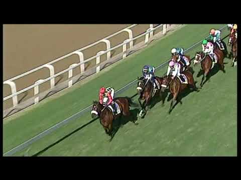 20190608 Greyville express clip Race 5 won by KAMPALA CAMPARI