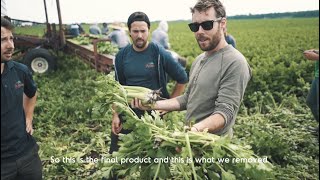 Video 2 trigger image