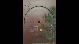 Jerry Bonham ‎- Vispera - A - Vispera (Original Extended Version)