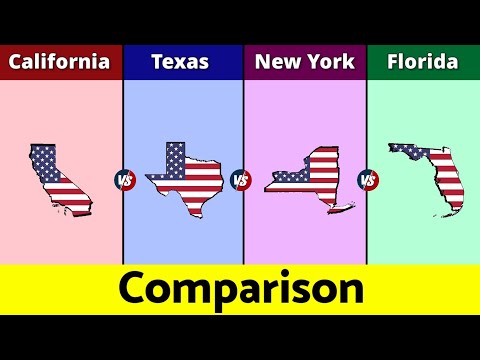 California vs Texas vs New York vs Florida | US States Comparison | Data Duck 2.o