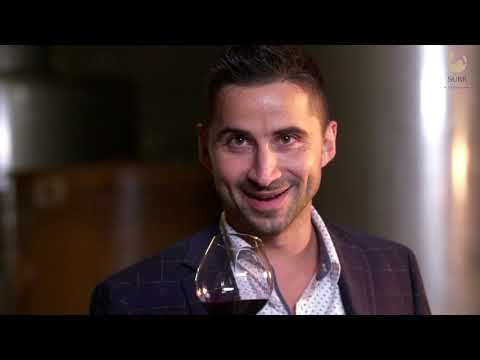 VINVENTIONS SÜBR: Performance