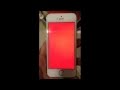 iPhone 5s red screen of death