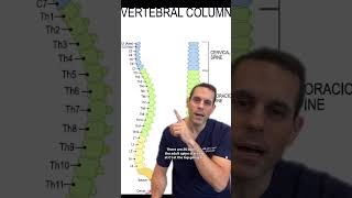 Progressive Spine & Orthopaedics