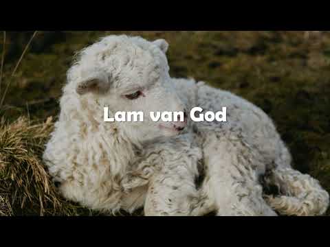 Opwekking met tekst 828 Waardig is Uw naam (versie 1)