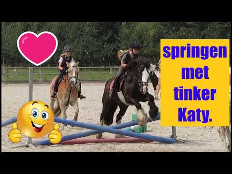 Springen met tinker Katy bij Holzik stables. lindsey´s paardenwereld.😍😍😍🐴🐴🐴