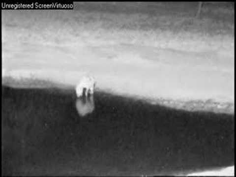 Hyenas 06/27/07 Part 1